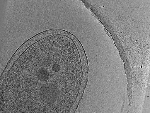 key visualization for aba2015-02-23-5