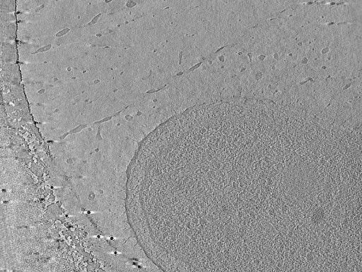 key visualization for aba2015-05-29-32