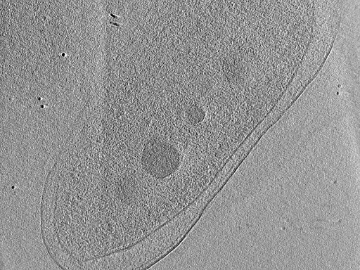 key visualization for aba2015-05-29-33