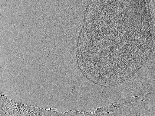 key visualization for aba2015-05-29-34