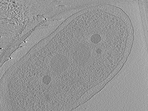 key visualization for aba2015-05-29-36