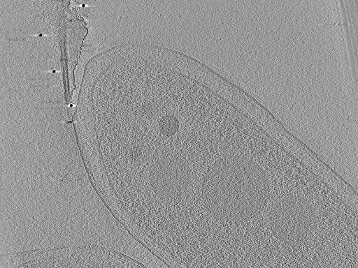 key visualization for aba2015-05-29-37