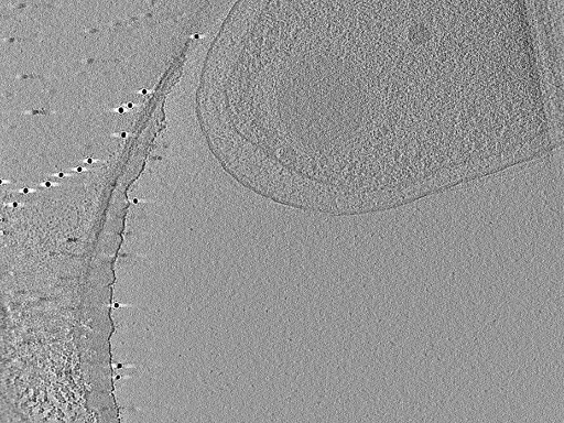 key visualization for aba2015-05-29-38