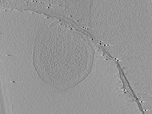 key visualization for aba2015-05-29-40