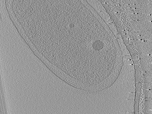 key visualization for aba2015-05-29-42