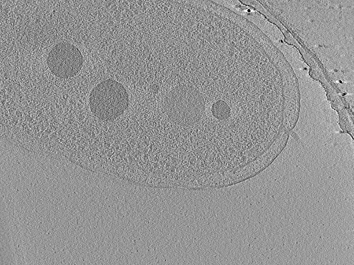 key visualization for aba2015-05-29-43