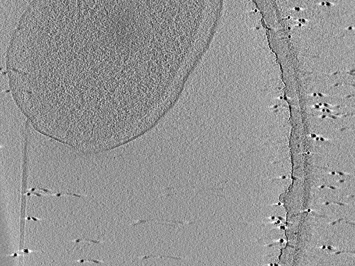 key visualization for aba2015-05-29-44