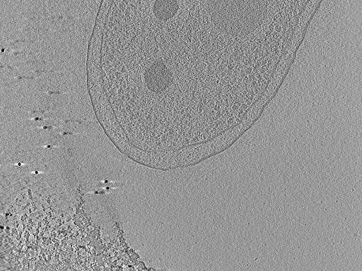 key visualization for aba2015-05-29-45