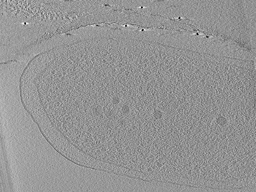 key visualization for aba2015-05-29-46