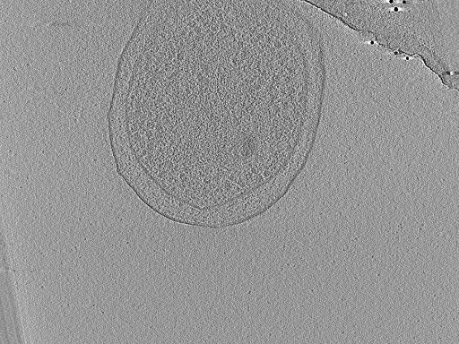 key visualization for aba2015-05-29-49