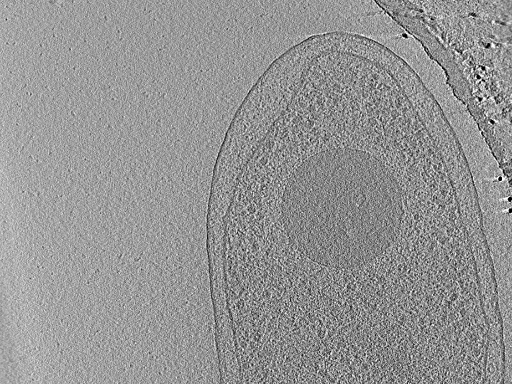 key visualization for aba2015-05-29-50