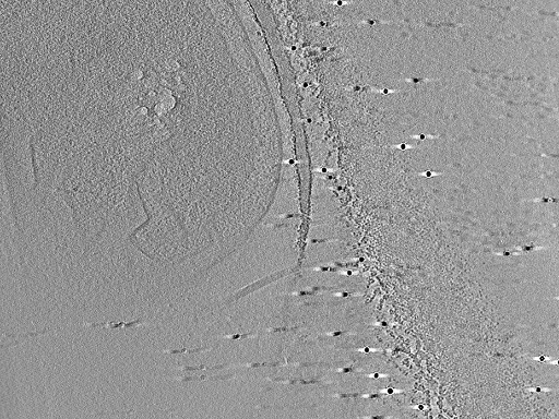 key visualization for aba2015-05-29-55