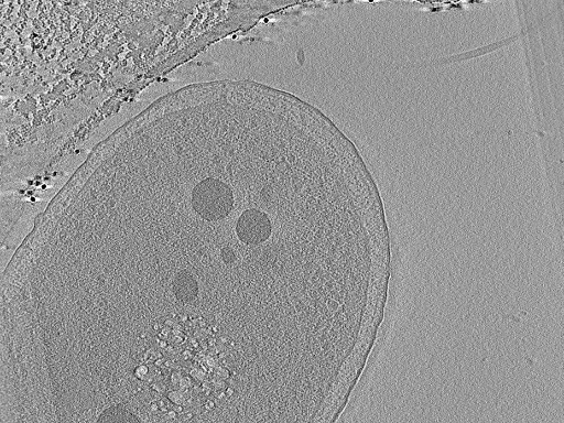 key visualization for aba2015-05-29-58