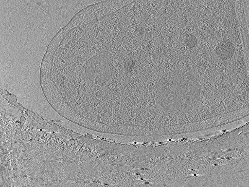 key visualization for aba2015-05-29-60