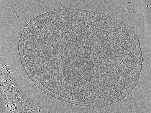 key visualization for aba2015-07-28-11