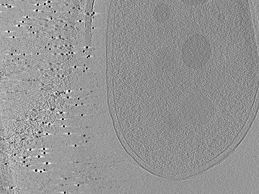 key visualization for aba2015-07-28-12