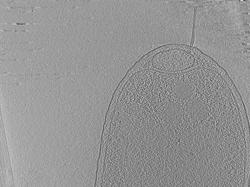 key visualization for aba2015-07-28-14