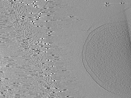 key visualization for aba2015-07-28-15