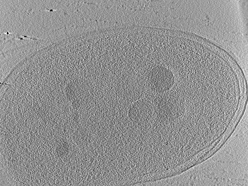 key visualization for aba2015-07-28-16