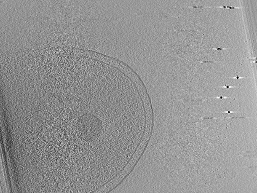 key visualization for aba2015-07-28-17