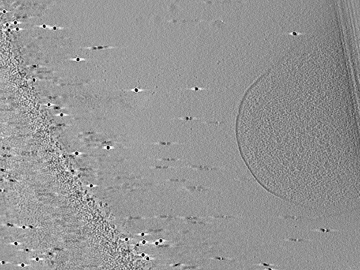 key visualization for aba2015-07-28-18