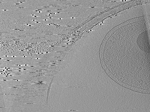 key visualization for aba2015-07-28-21