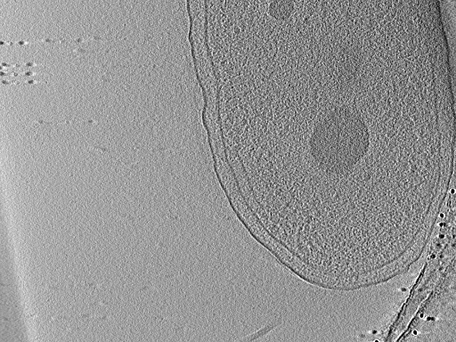 key visualization for aba2015-07-28-22