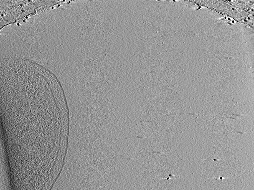 key visualization for aba2015-07-28-23