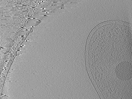 key visualization for aba2015-07-28-24