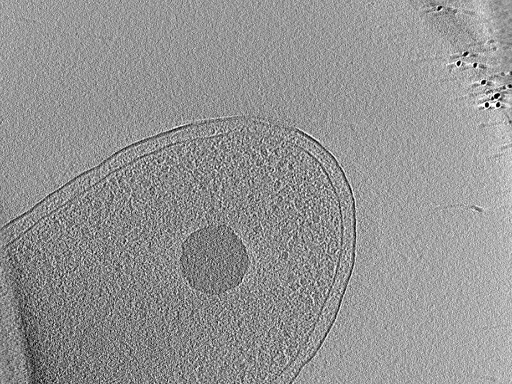 key visualization for aba2015-07-28-28