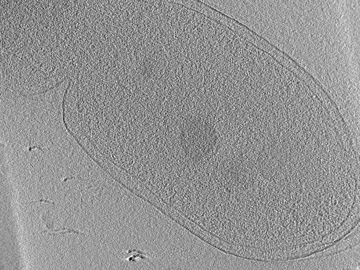 key visualization for aba2015-07-28-29