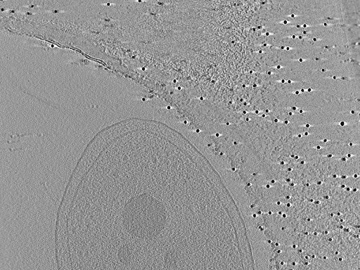 key visualization for aba2015-07-28-30