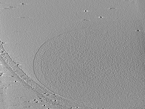 key visualization for aba2015-07-28-31