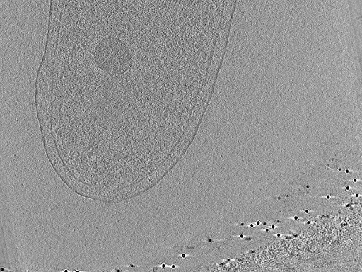 key visualization for aba2015-07-28-7