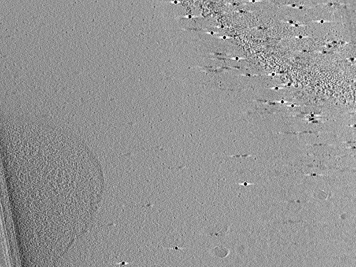 key visualization for aba2015-07-28-8