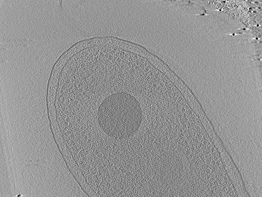 key visualization for aba2015-07-28-9