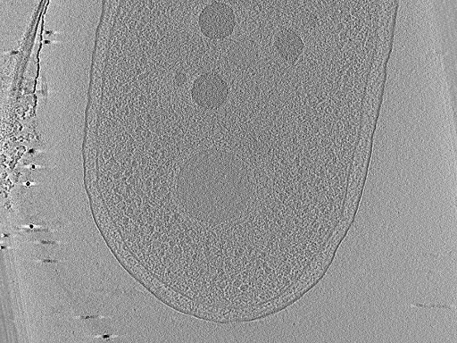 key visualization for aba2015-07-29-43