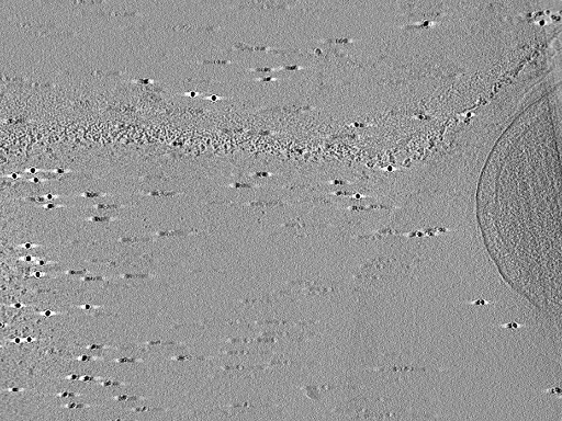 key visualization for aba2015-07-29-44