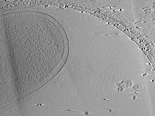 key visualization for aba2015-07-29-9