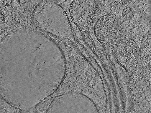 key visualization for 31082023_NNPKrios_Arctic_Autotem_Position_98