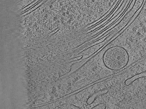 key visualization for 31082023_NNPKrios_Arctic_Autotem_Position_99