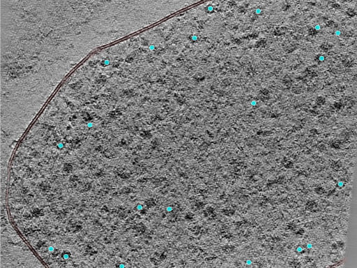 key visualization for 24aug01b_Position_22_2
