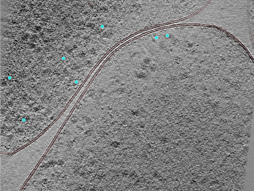 key visualization for 24aug01b_Position_22_3