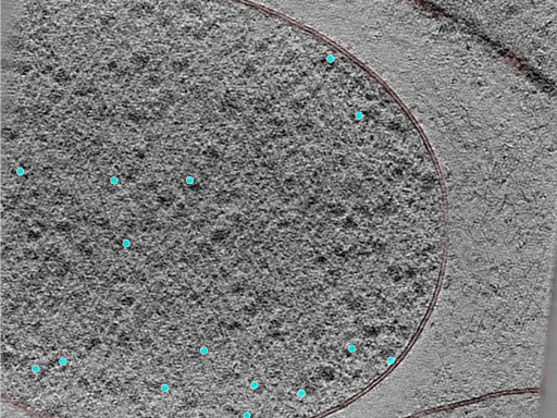 key visualization for 24jul24a_Position_49_4