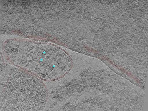 key visualization for 24jul24a_Position_4_2