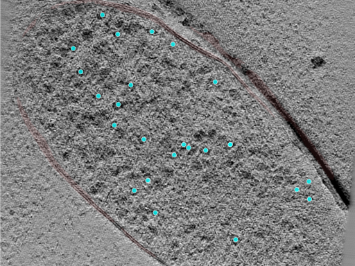 key visualization for 24jul24a_Position_5