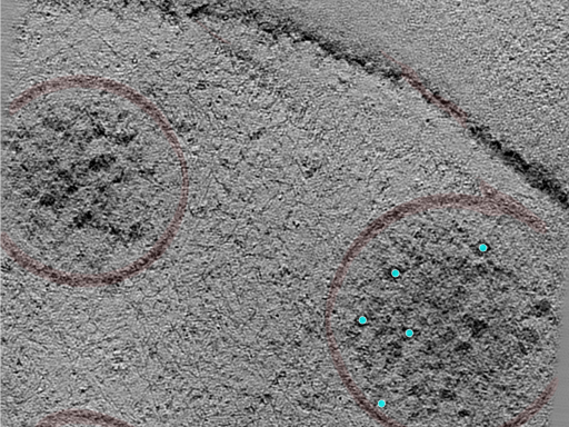 key visualization for 24jul24a_Position_5_2