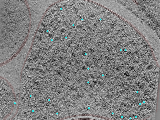 key visualization for 24jul24a_Position_6