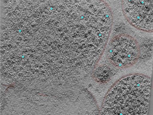 key visualization for 24jul24a_Position_6_2