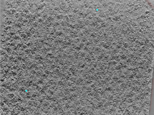 key visualization for 24jul24a_Position_7